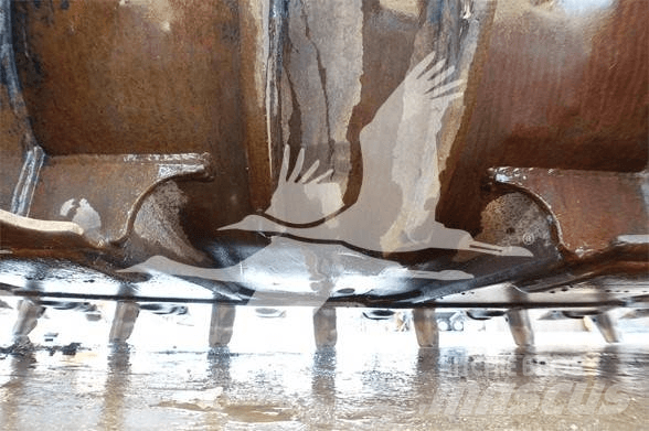 CAT TB LINKAGE Benne