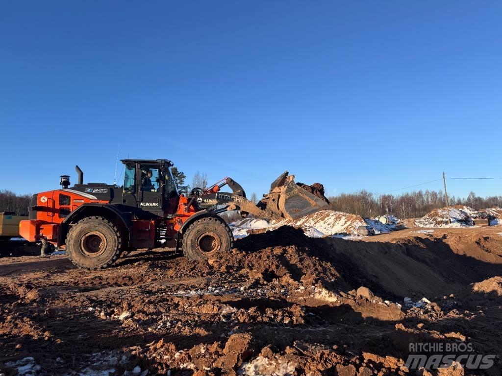 Hitachi ZW 310-7 Pale gommate
