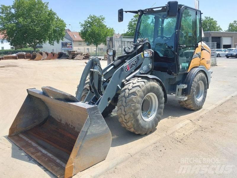 Giant G 5000 X-Tra Pale gommate