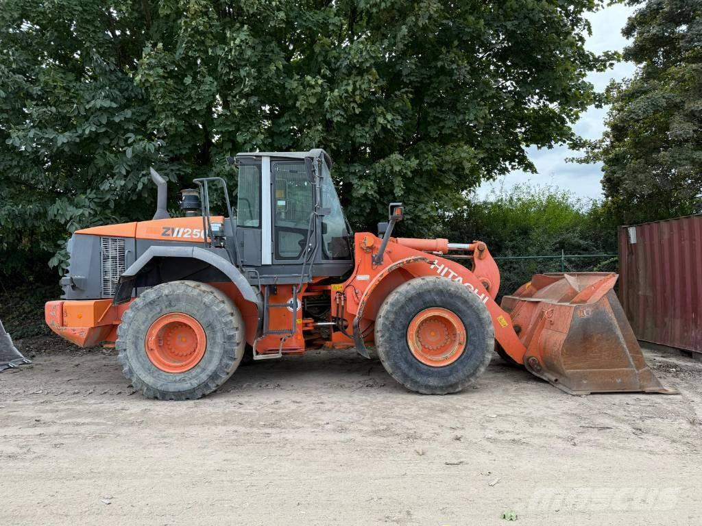 Hitachi ZW 250 Pale gommate