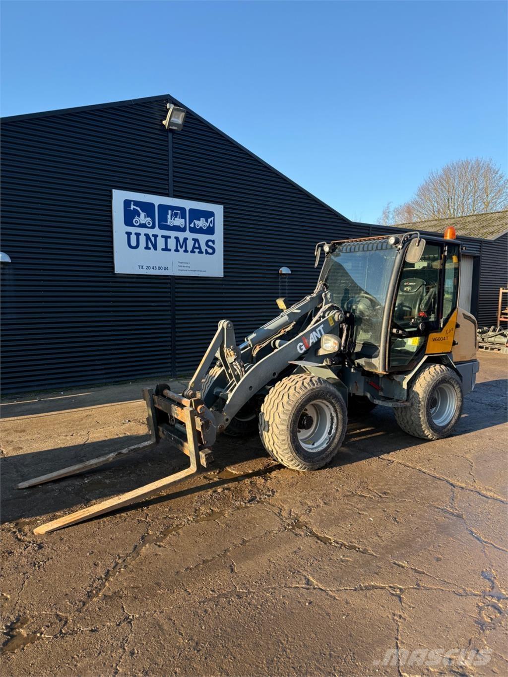 GiANT V6004 T Mini pale