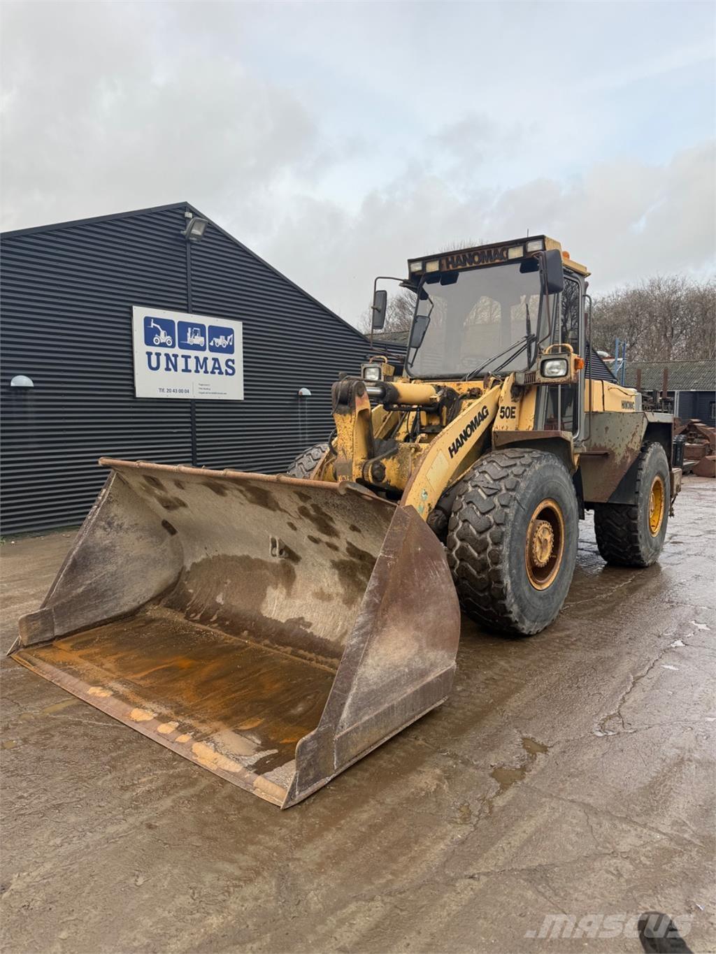 Hanomag 50E Pale gommate