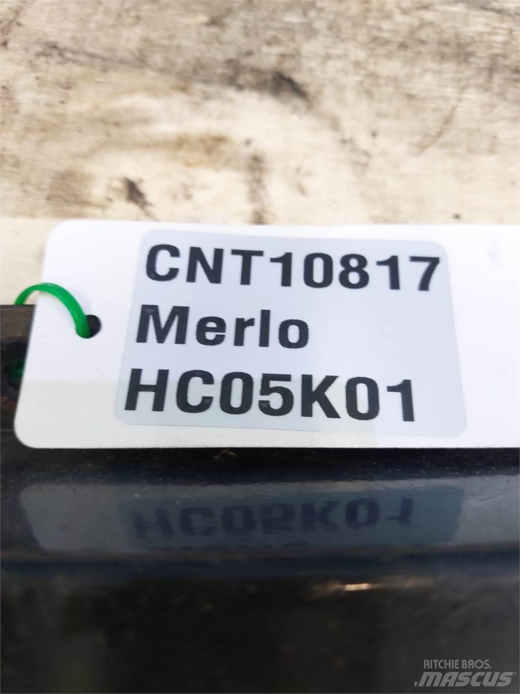 Merlo  Benne vaglianti