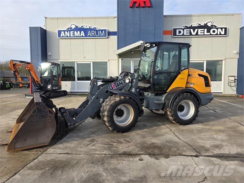 GiANT V761 Pale gommate