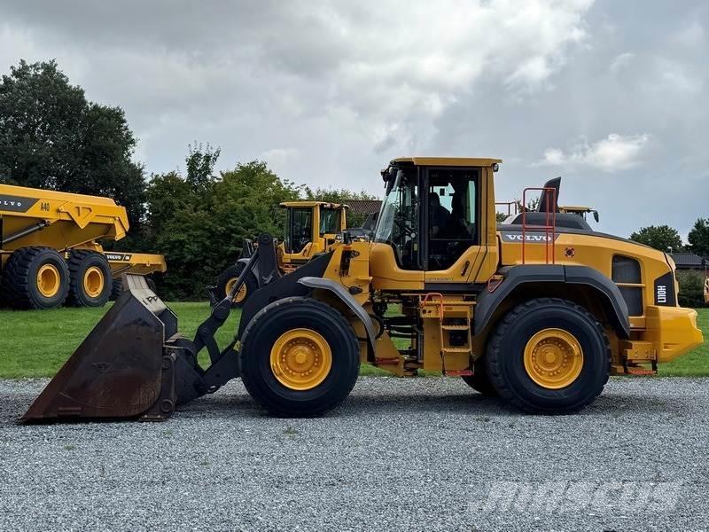 Volvo L 110 H Pale gommate