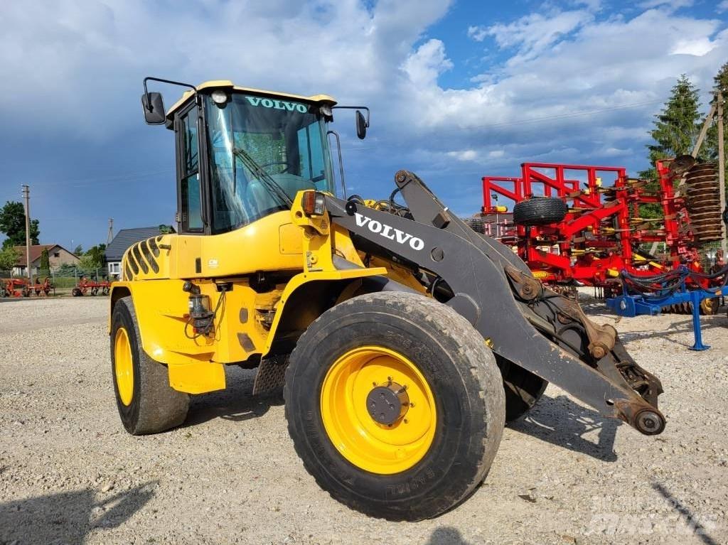 Volvo L 45 B Pale gommate