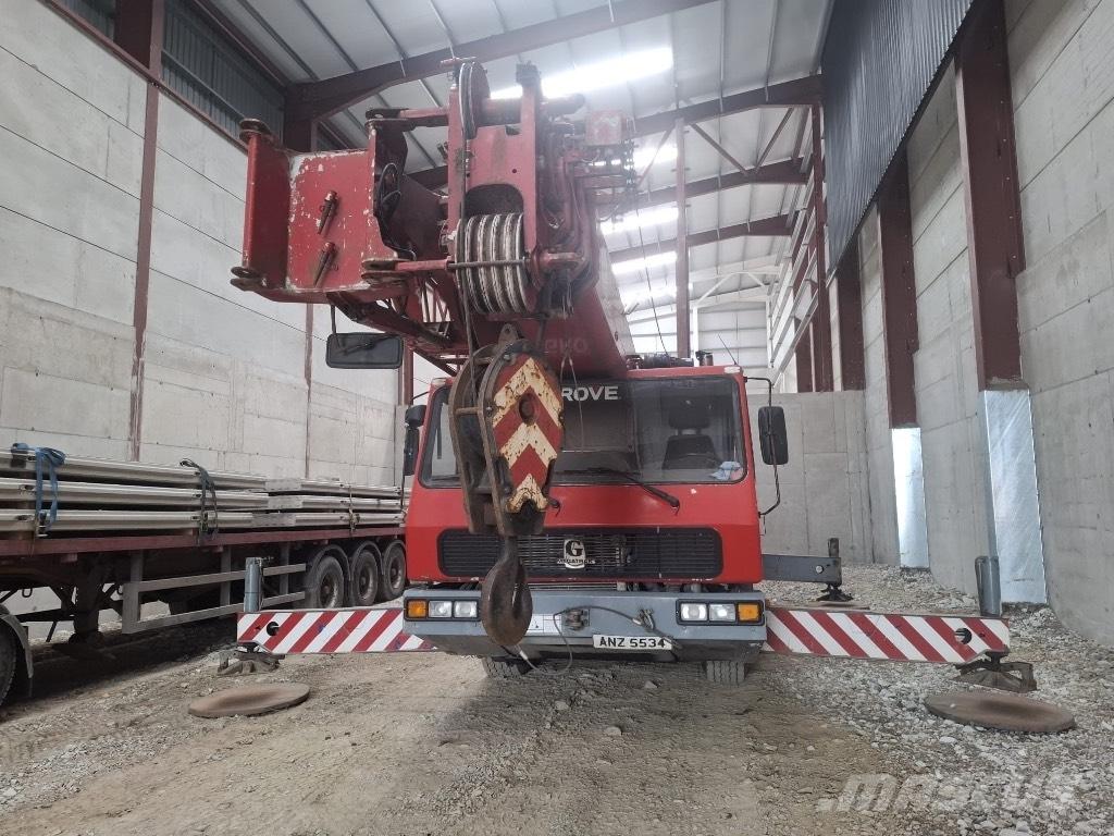 Grove 3050 Gru per tutti i terreni