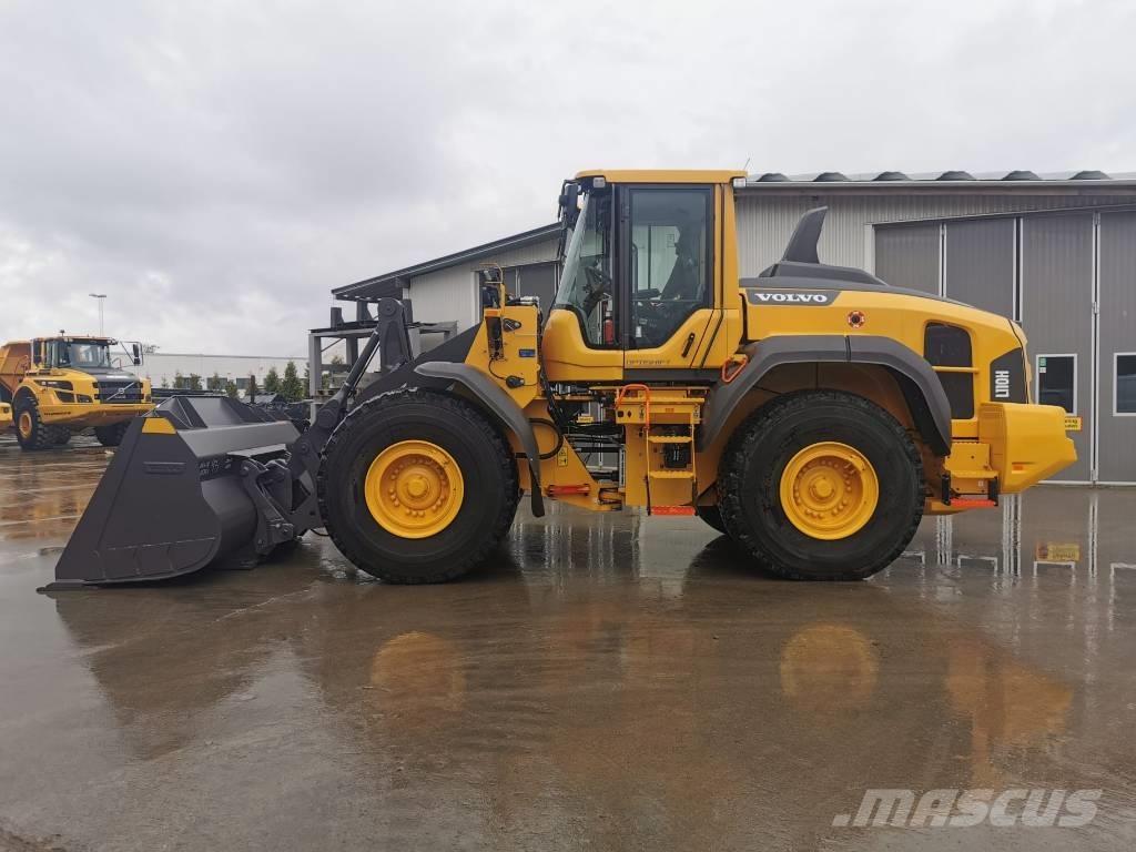 Volvo L 110 H2 Pale gommate