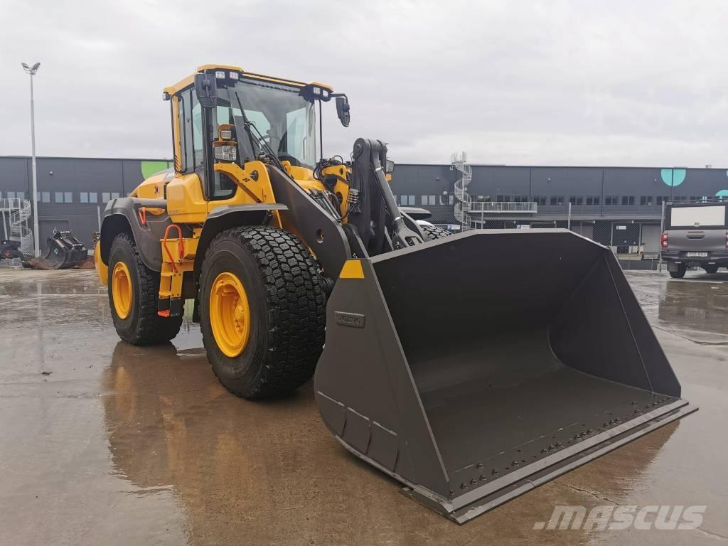 Volvo L 110 H2 Pale gommate