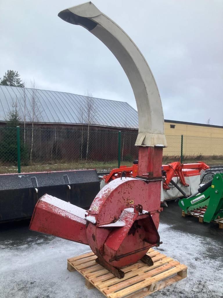 Hakki laikkahakkuri Cippatrice