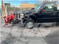 Ford F 350 Camion con sponde ribaltabili