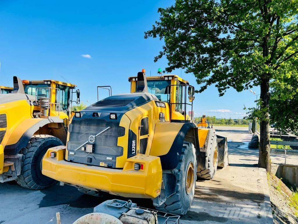 Volvo L 220 H Pale gommate