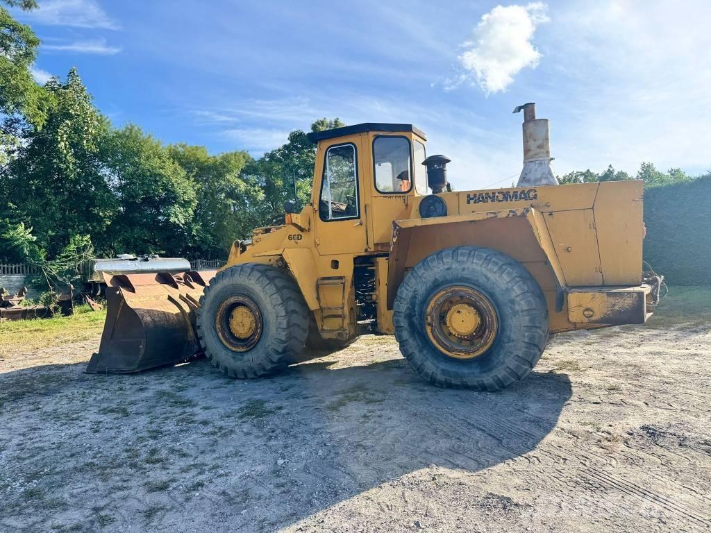 Hanomag 66d Pale gommate