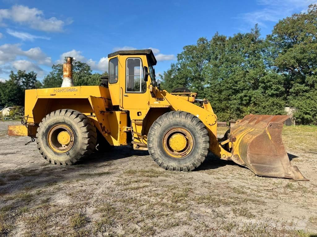 Hanomag 66d Pale gommate