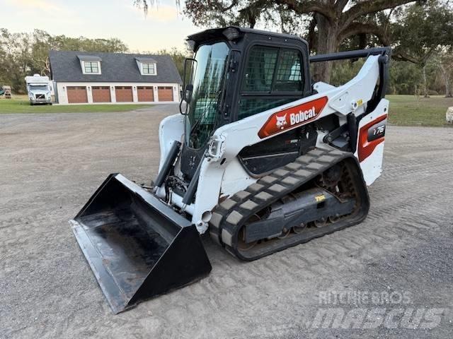 Bobcat T 76 Mini Pale Gommate