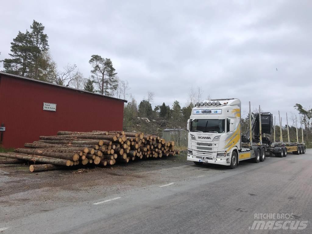 Scania R 650 Camion trasporto legname