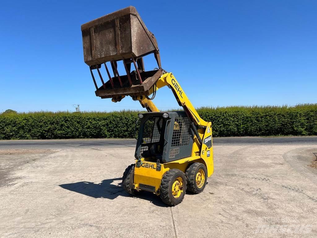 Gehl 3840 Mini Pale Gommate