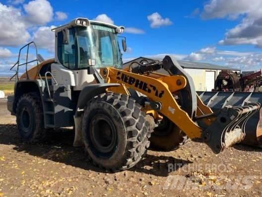 Liebherr L550 Costruzioni - Altro