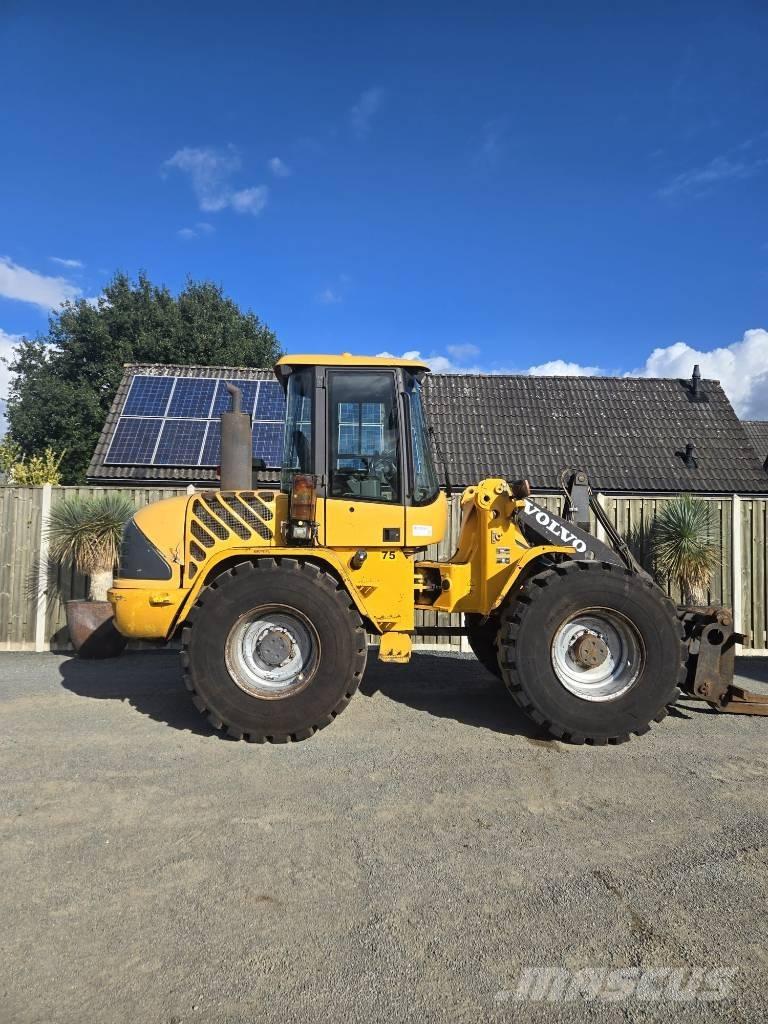 Volvo L 40 B TP Pale gommate
