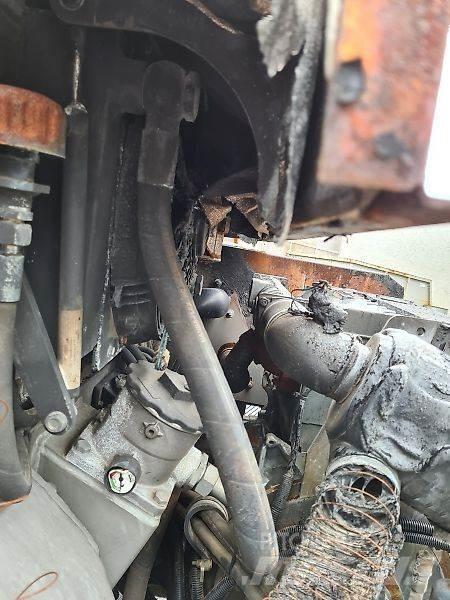 Paus SL655 Pale gommate