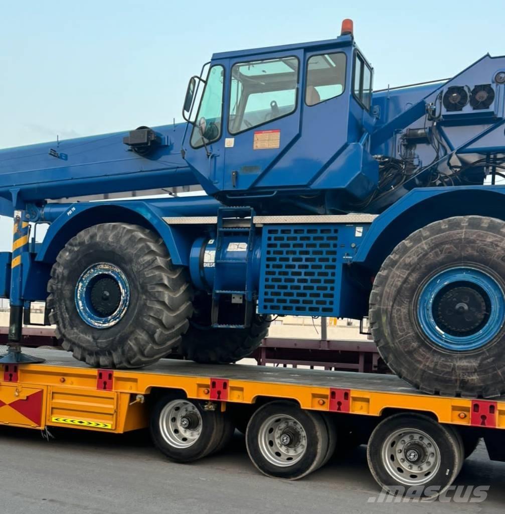 Grove RT 880 E Gru per terreni difficili