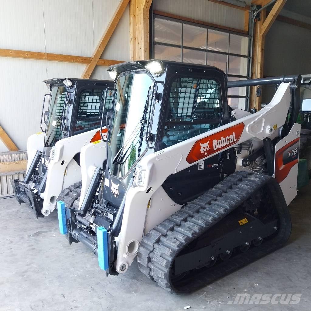 Bobcat T 76 Pale cingolate