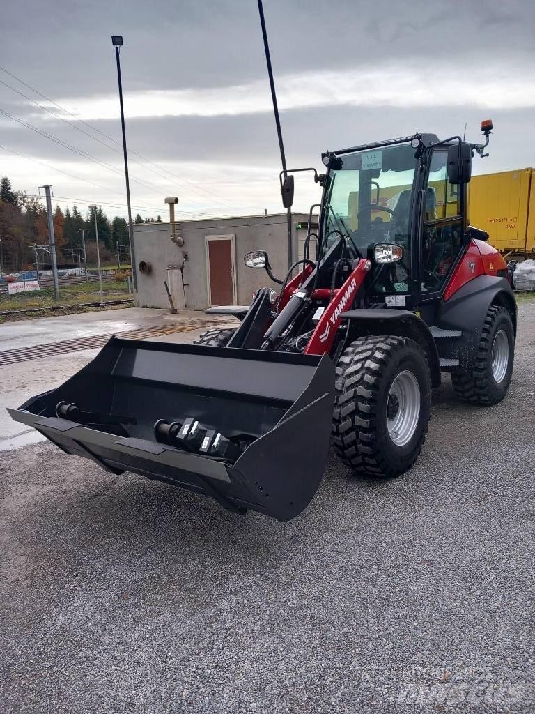 Yanmar V 7 Terne