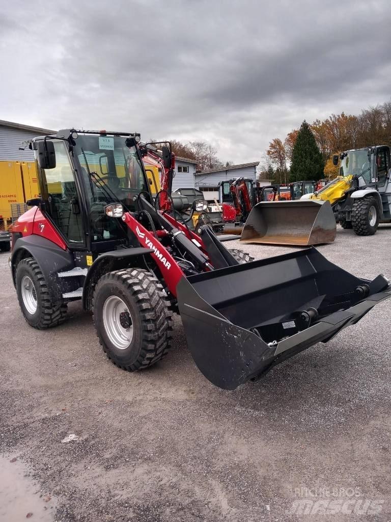 Yanmar V 7 Terne