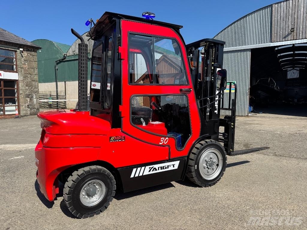 YangFT CPCD30 Carrelli elevatori diesel