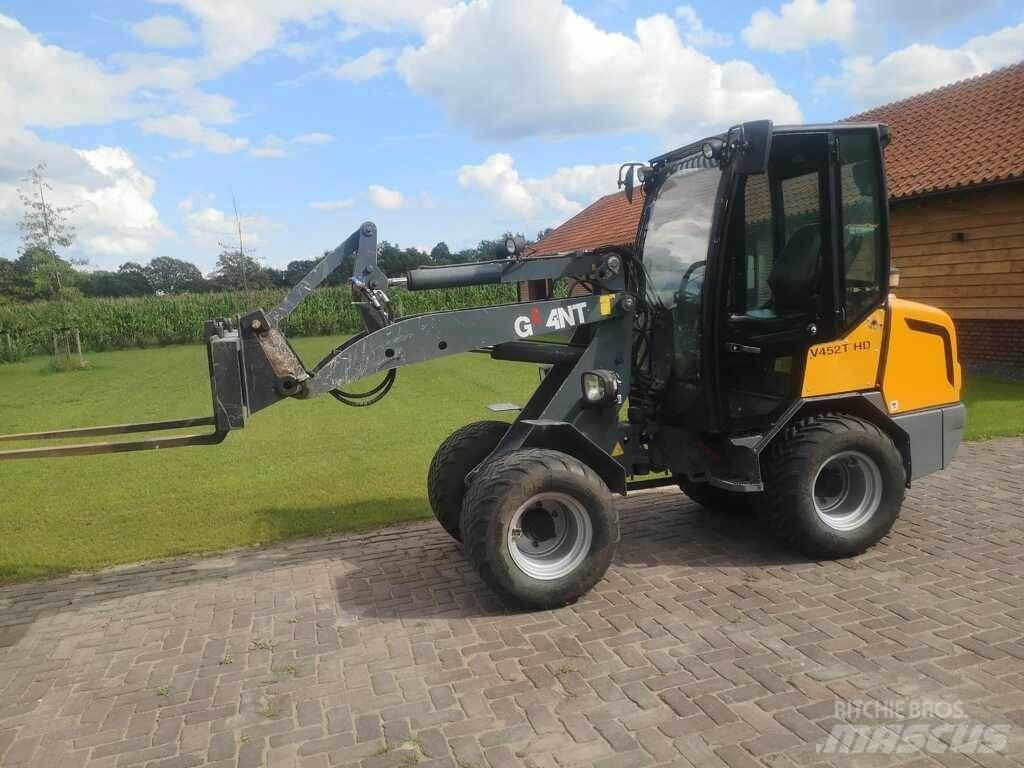 GiANT V 452 T HD Pale gommate