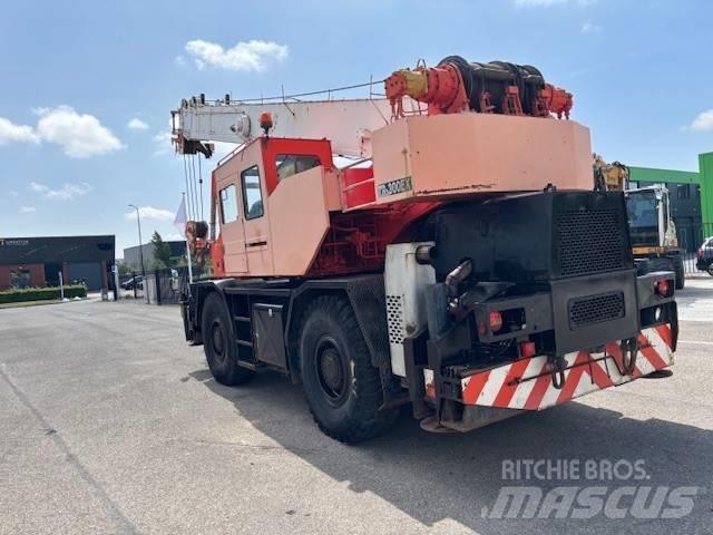 Tadano TR 300 EX Gru per terreni difficili
