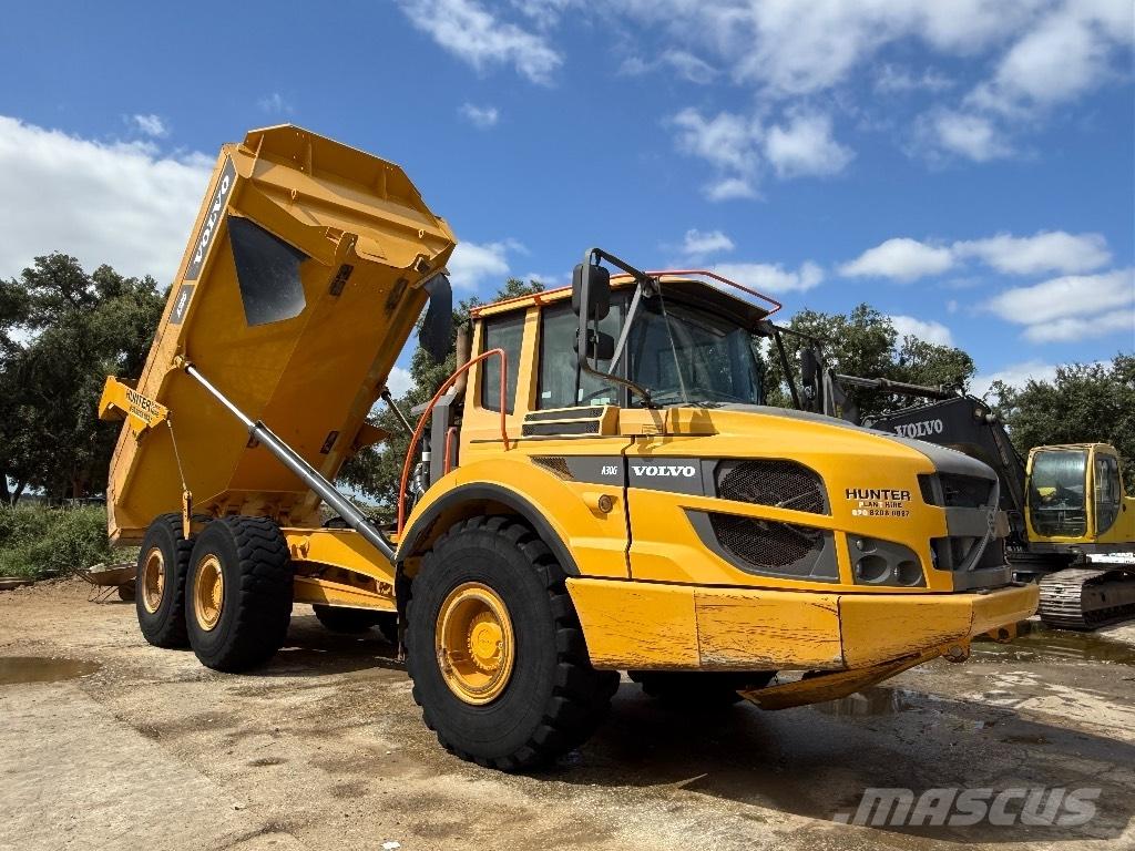 Volvo A30G Dumpers articolati