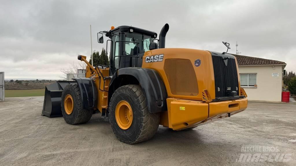 CASE 1021 F Pale gommate