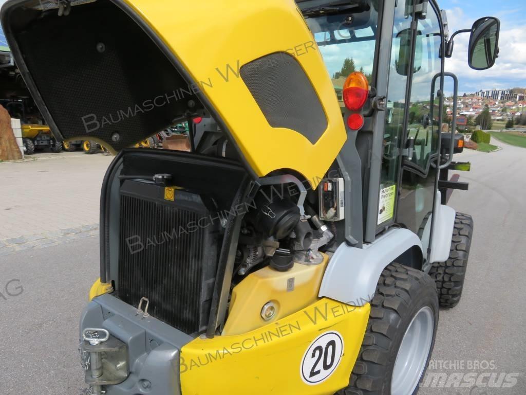 Kramer 5035 Pale gommate