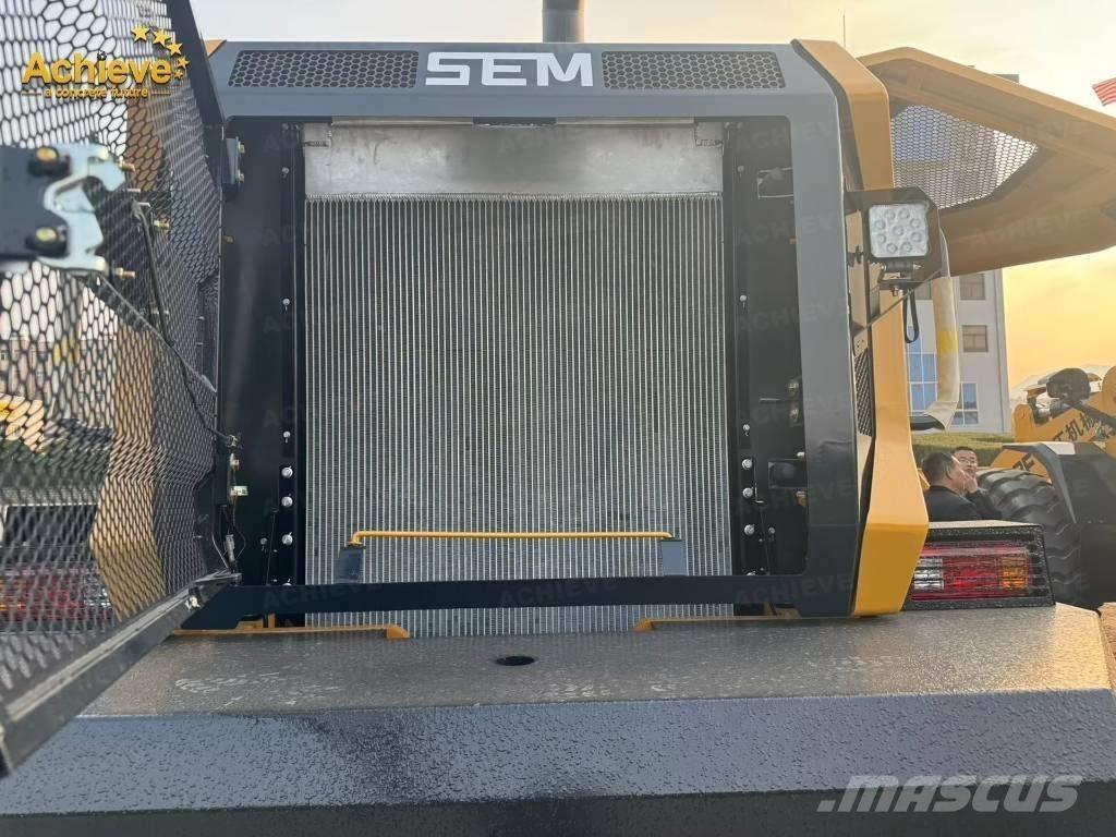 SEM 656F Pale gommate