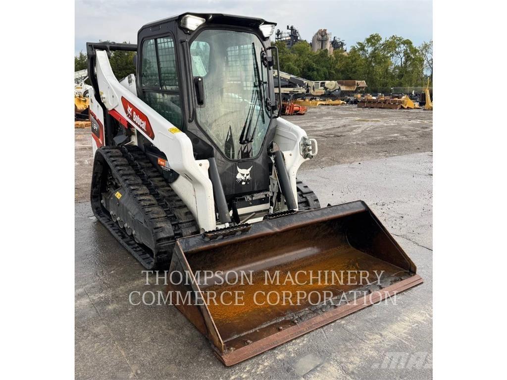 Bobcat T64 Pale cingolate