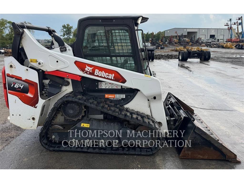 Bobcat T64 Pale cingolate