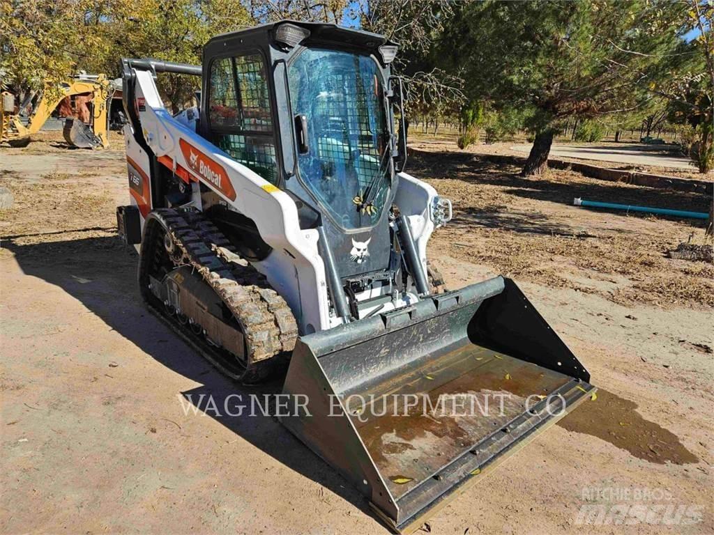Bobcat T66 Pale cingolate