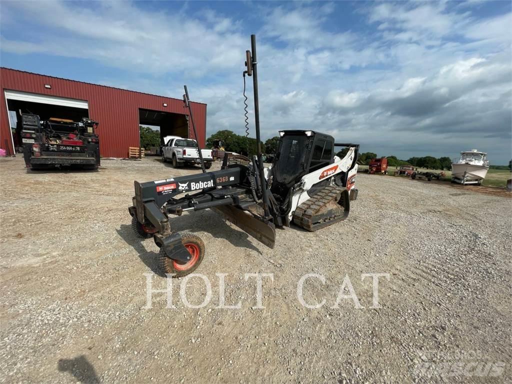 Bobcat T66 Pale cingolate