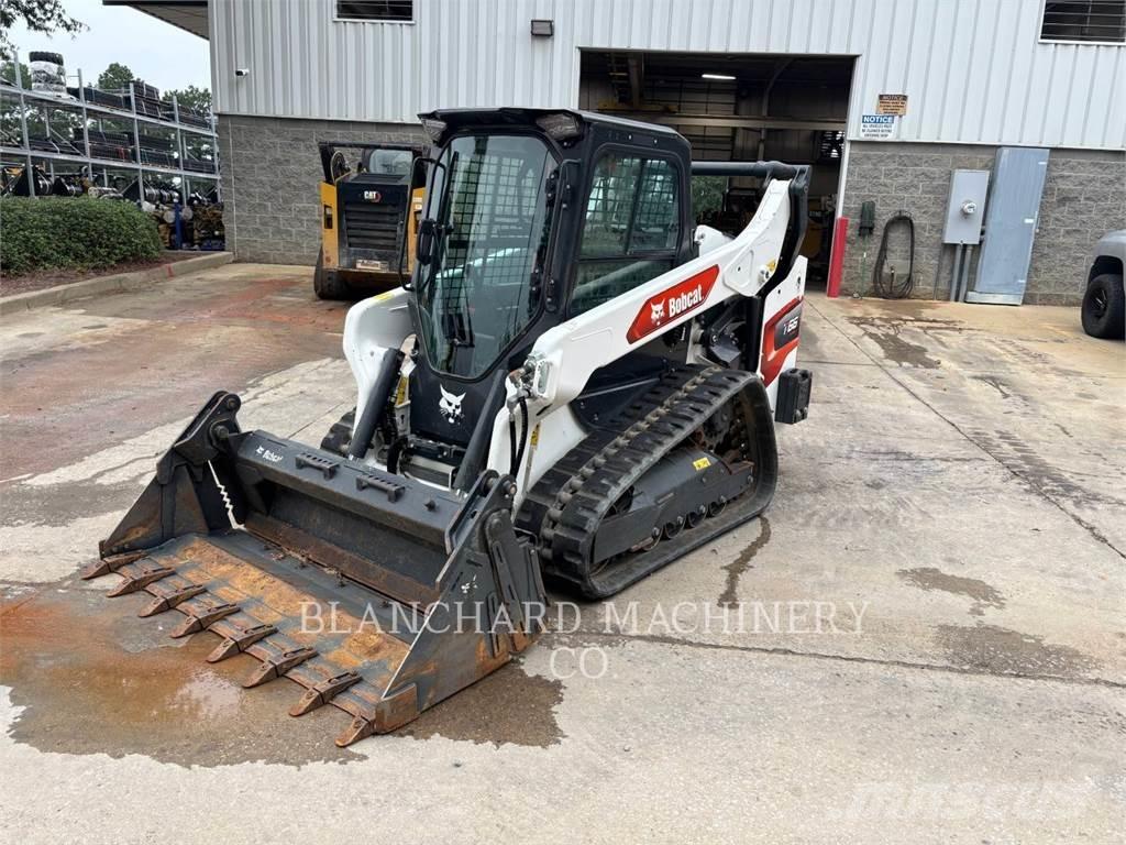 Bobcat T66 Pale cingolate