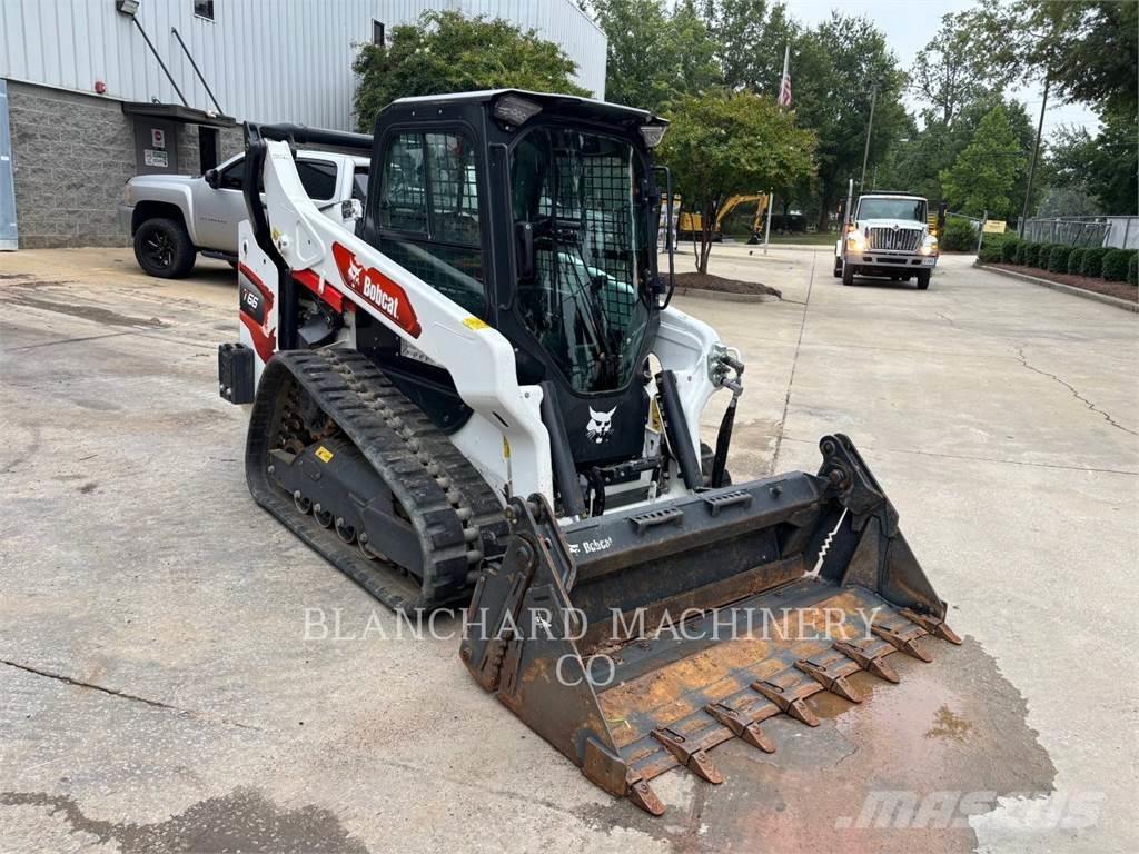 Bobcat T66 Pale cingolate