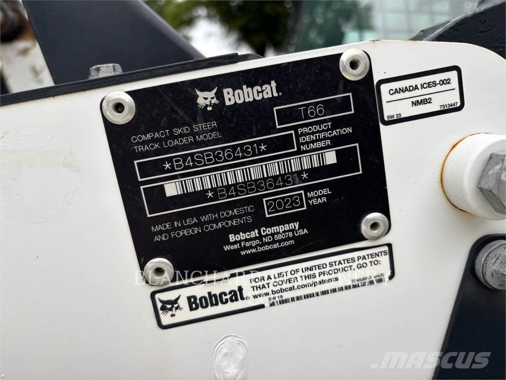 Bobcat T66 Pale cingolate