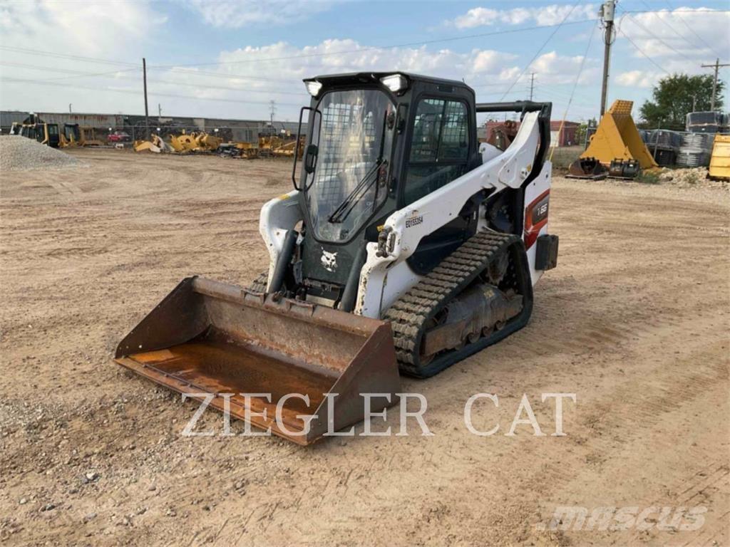Bobcat T66 Pale cingolate
