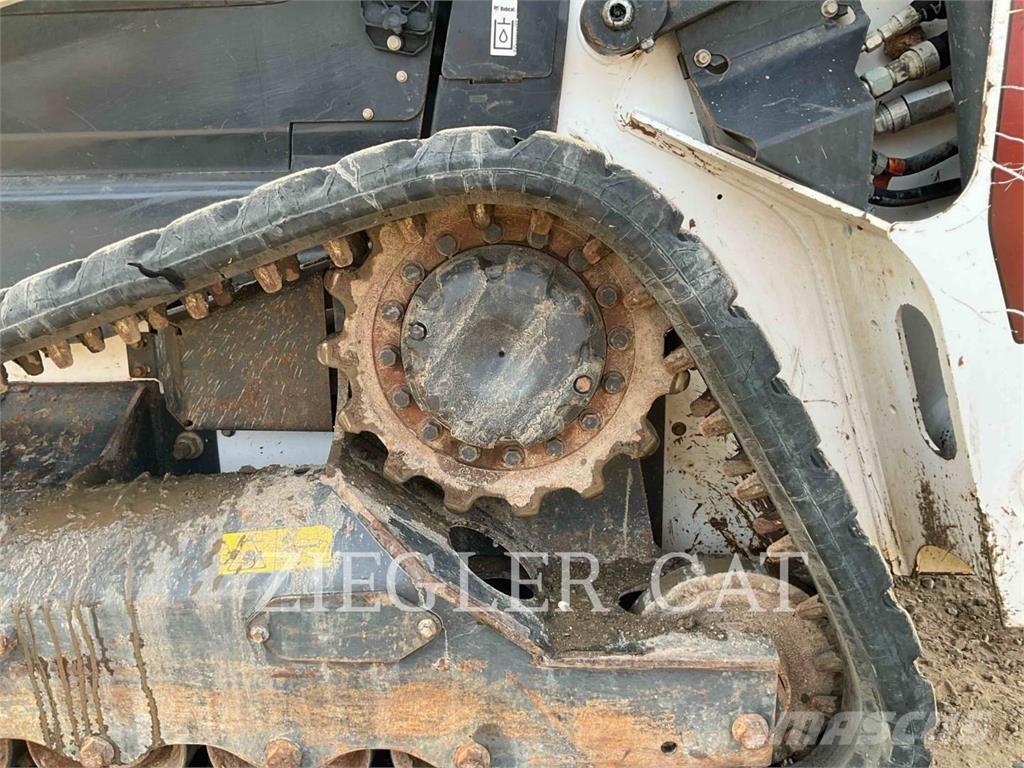Bobcat T66 Pale cingolate