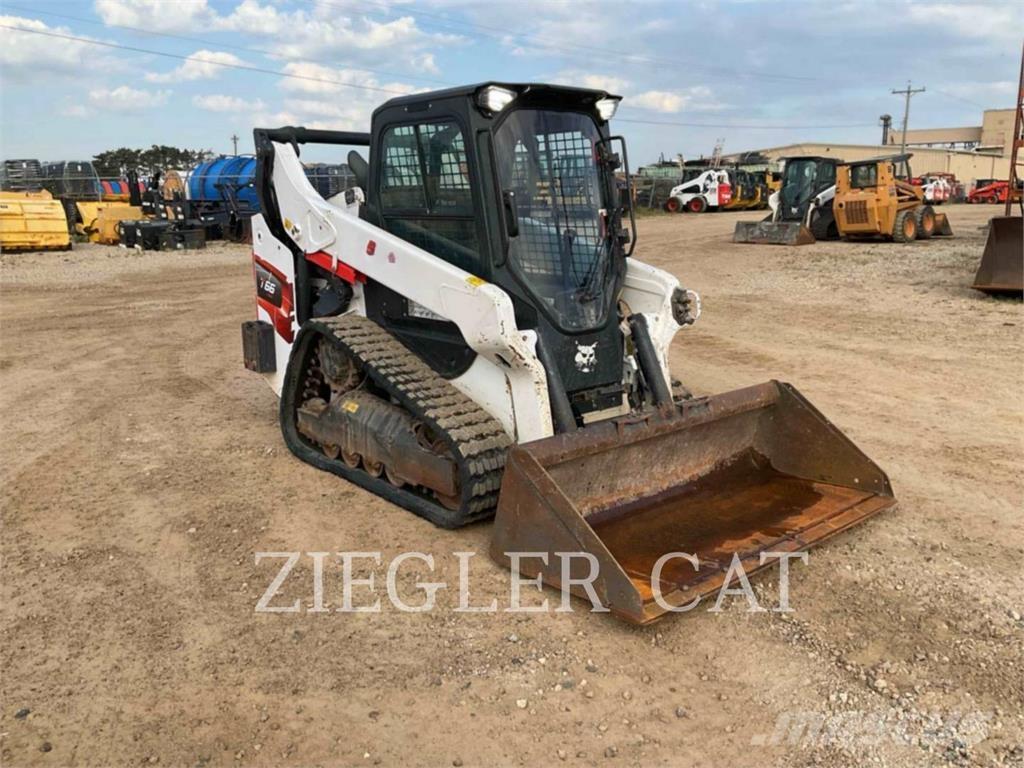 Bobcat T66 Pale cingolate