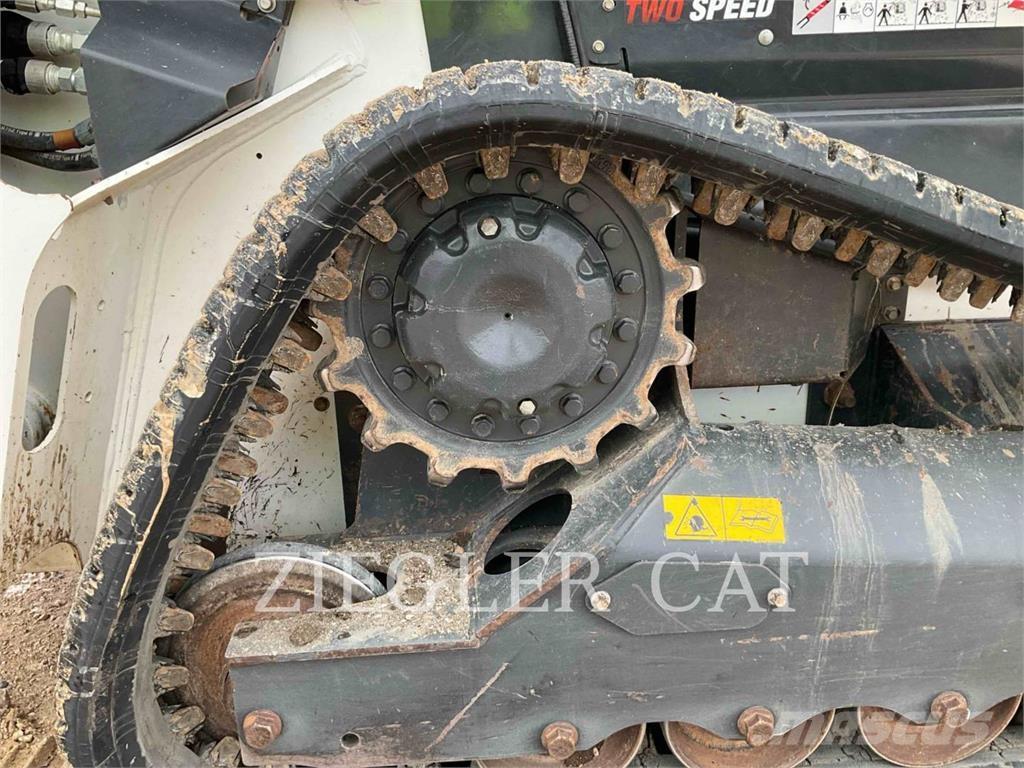 Bobcat T66 Pale cingolate