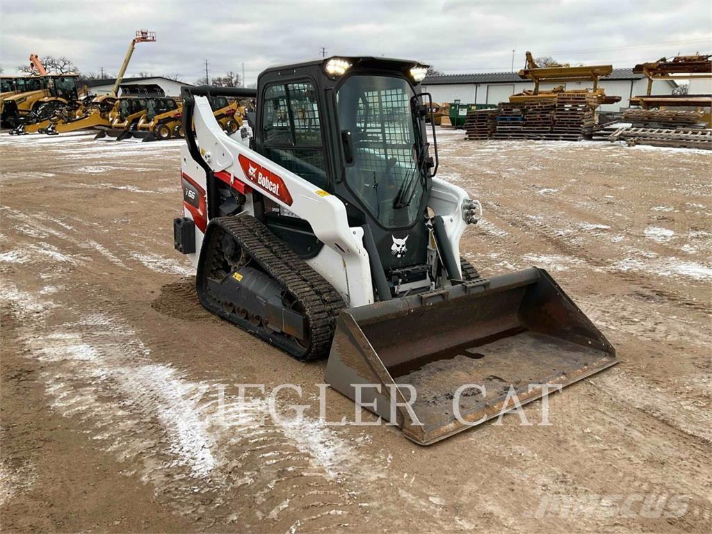 Bobcat T66 Pale cingolate
