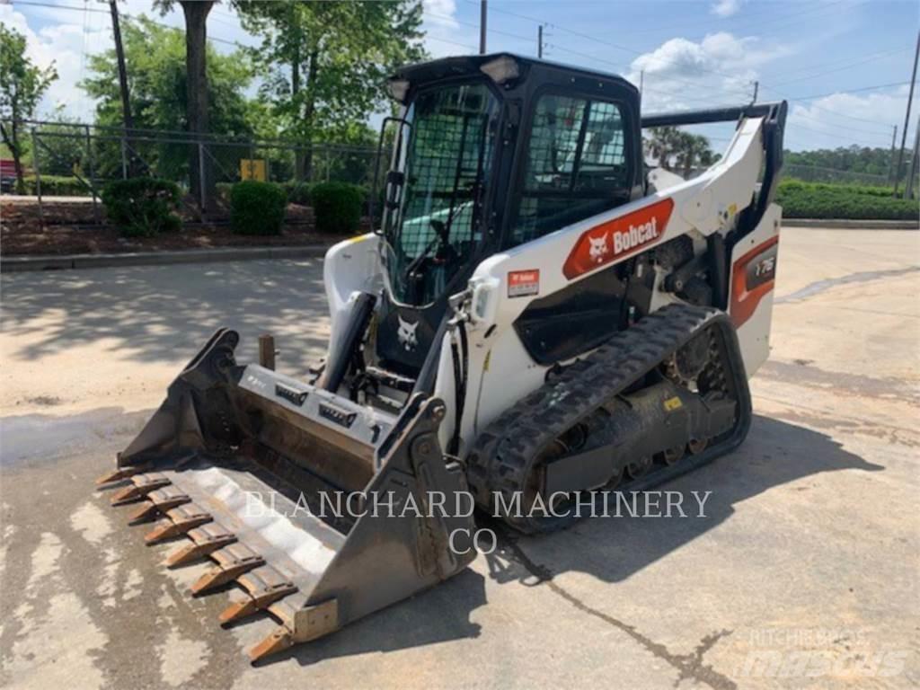 Bobcat T76 Pale cingolate