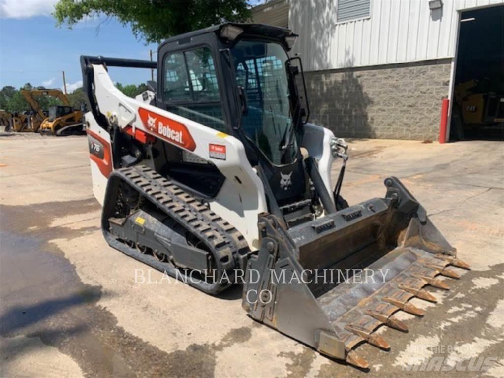 Bobcat T76 Pale cingolate