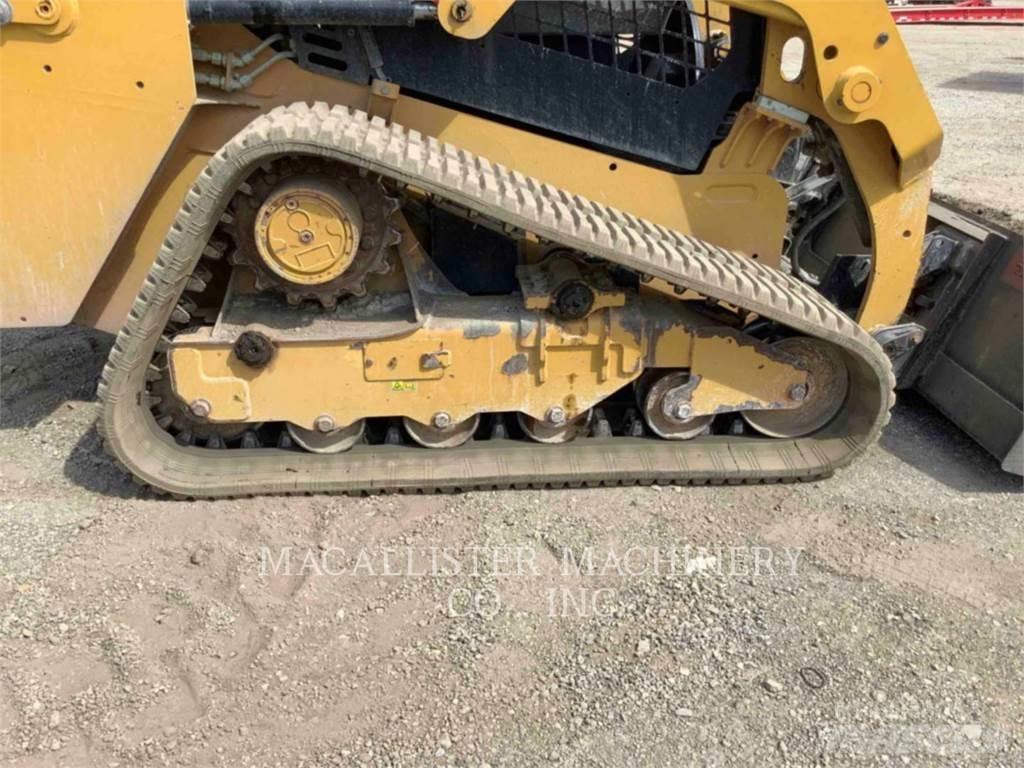 CAT 239D Pale cingolate